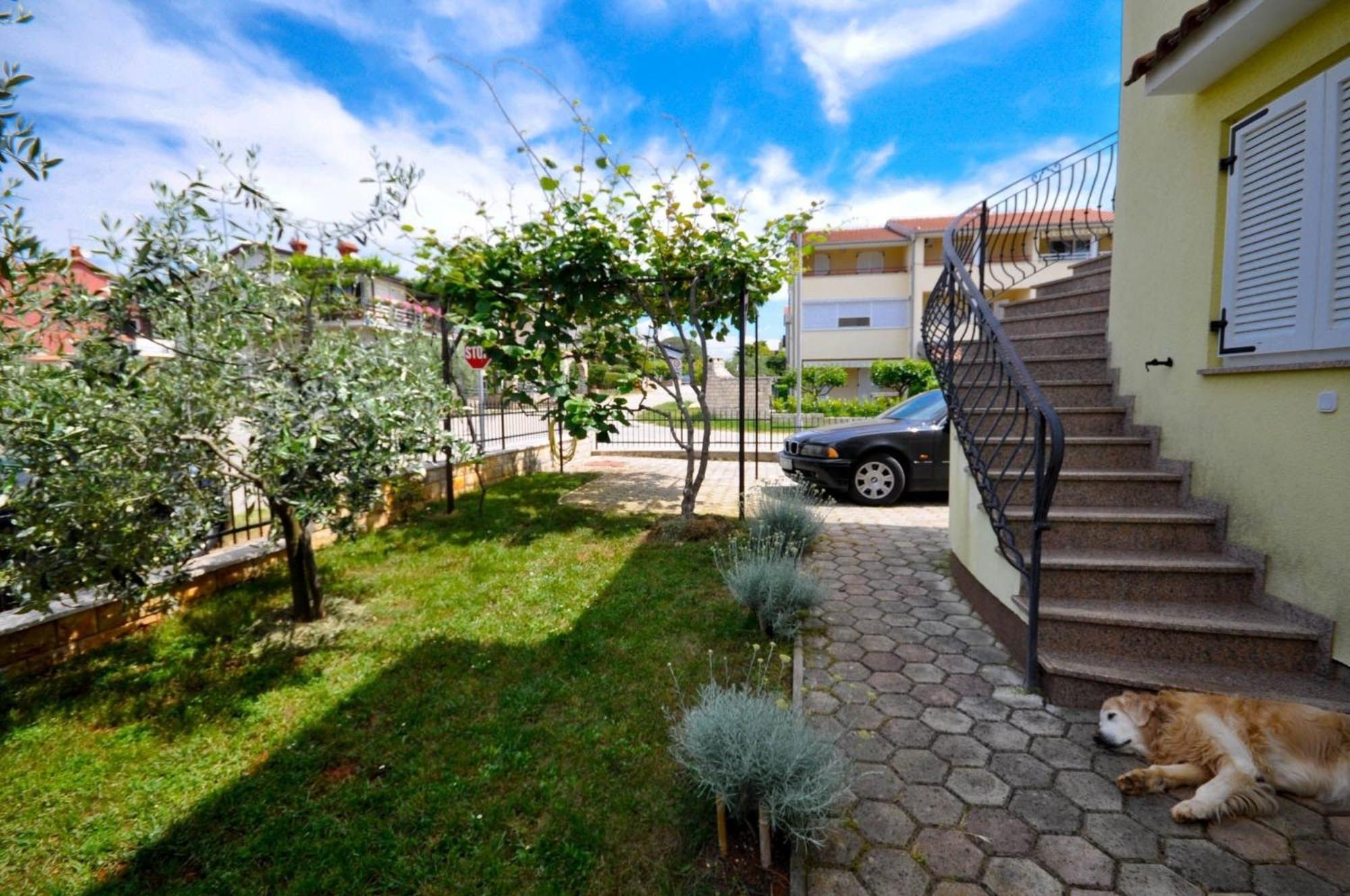 Ferienwohnung Fuer 2 Personen 30 M2 In Novigrad, Istrien Karpinjan Exterior foto